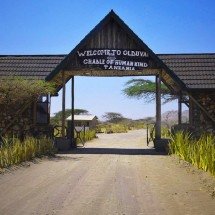 No coração da África: descubra o desfiladeiro que guarda as origens da humanidade - reprodução/ tripadviser