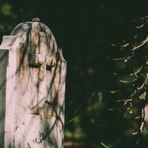 Parece ficção, mas é real: Empresa congela pessoas no fim da vida para ‘reanimá-las’ no futuro - Brett Sayles por pexels