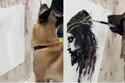 Um pastor belga malinois está chamando atenção na internet por causa de um talento que surpreende: ele usa um pincel com a boca e cria quadros que impressionam. -  (crédito: Reprodução de redes sociais )