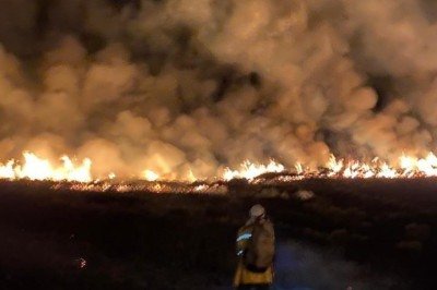 As chamas foram provocadas por raios que atingiram o solo no final da tarde da &uacute;ltima sexta-feira (26/12) -  (crédito: Reprodu&ccedil;&atilde;o ICMBio/Brigada Volunt&aacute;ria Cip&oacute;)