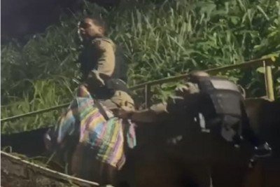 Drogas apreendidas foram levadas para Delegacia de Governador Valadares -  (crédito: PMMG)