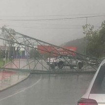 Árvore de Natal cai e trava trânsito em rodovia em Nova Lima - Redes Sociais/Reprodu&ccedil;&atilde;o