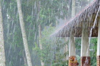 Como proteger sua casa de chuvas fortes, ventos e granizo