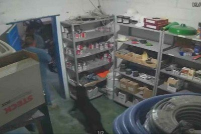 Imagens da câmera de segurança, instalada no local, flagaram o momento -  (crédito: Rede Globo/Reprodução)