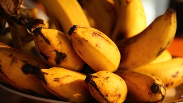 Bananas amadurecem muito mais r&aacute;pido quando est&atilde;o juntas, pois liberam o g&aacute;s etileno -  (crédito: ffrige/Unsplash)