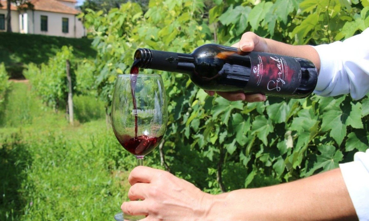 Foram produzidos tr&ecirc;s r&oacute;tulos envelhecidos em tr&ecirc;s diferentes tipos de madeiras nacionais com o mesmo vinho Syrah