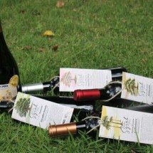 Além da cachaça: madeiras brasileiras são aposta na produção de vinhos  - Erasmo Reis/Divulgação