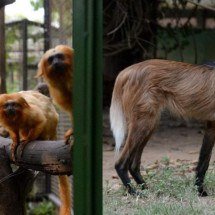Novos valores entram em vigor a partir de janeiro -  (crédito: Túlio Santos/EM/D.A Press)