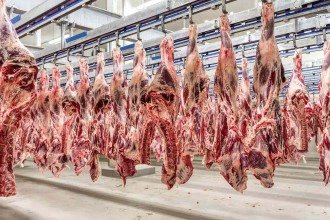 China aplicará tarifa de 55% sobre importações de carne de países como Brasil, Argentina e Uruguai