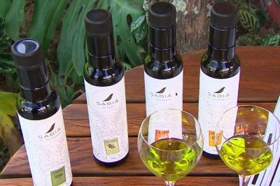 O azeite brasileiro Sabiá, produzido em Santo Antônio do Pinhal, no estado de São Paulo, alcançou a nota mais alta já obtida por um rótulo do Brasil no guia italiano Flos Olei, publicação internacionalmente reconhecida por sua avaliação rigorosa de azeites extravirgens.
 -  (crédito: Reprodução/TV Vanguarda)