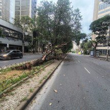 Ventania 'varre' BH e causa prejuízos - Paulo Galvão/EM/D.A.PRESS