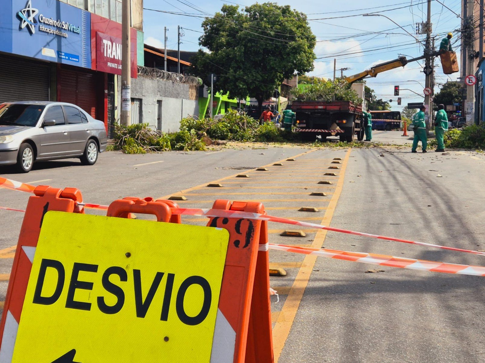 &Aacute;rvore de grande porte caiu na Avenida Afonso Vaz de Melo, no Barreiro, em BH