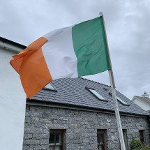 Atores da Irlanda que alcançaram sucesso em Hollywood - wikimedia commons/Zellygumdrops