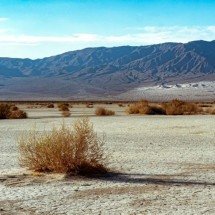 ‘Zona da Morte’: Estados Unidos têm lugar onde os crimes não são julgados - Jamie Street/Unsplash