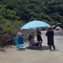 Moradora de condomínio em SC quer remover restinga para alargar praia - Instagram/Reprodução