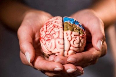 Princípios da neurociência que explicam como pequenas mudanças podem transformar sua vida diária -  (crédito: Tupi)