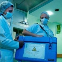 Droga para artrite reumatoide tem potencial para melhorar qualidade de rins - Agência Brasil