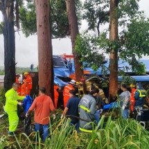 MG: ônibus que tombou deixando mortos e feridos voltava de Réveillon na BA - CBMMG