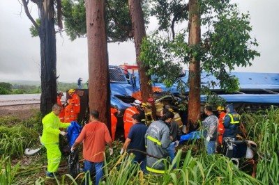 Ônibus derrapou e capotou à margem da rodovia
 -  (crédito: CBMMG)