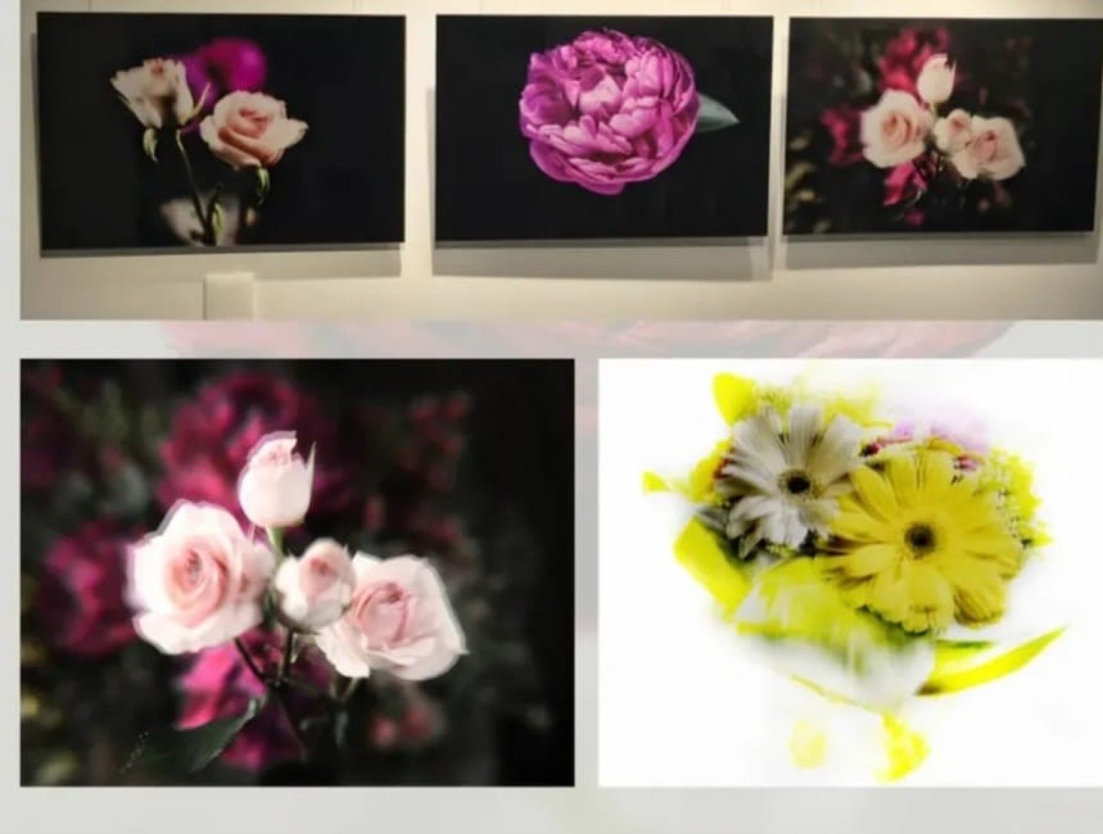 Flores: Malu Mesquita expõe nova série no espaço O Jardim - DINO