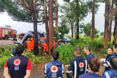 Técnicas de salvamento incluíam a retirada das vítimas pelos bombeiros e entrega às equipes do Samu -  (crédito: Divulgação/Corpo de Bombeiros)
