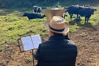 Osvaldo Filho começou a tocar tuba para suas vacas ouvirem  -  (crédito: Queijo D'Alagoa/Divulgação)