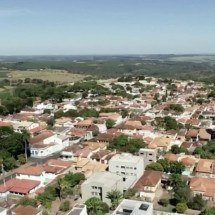 Após ataques de onça-parda, dono de sítio em São Paulo desiste de criar galinhas: ‘Ganho salário mínimo e vendia ovo’ - Reprodução/EPTV