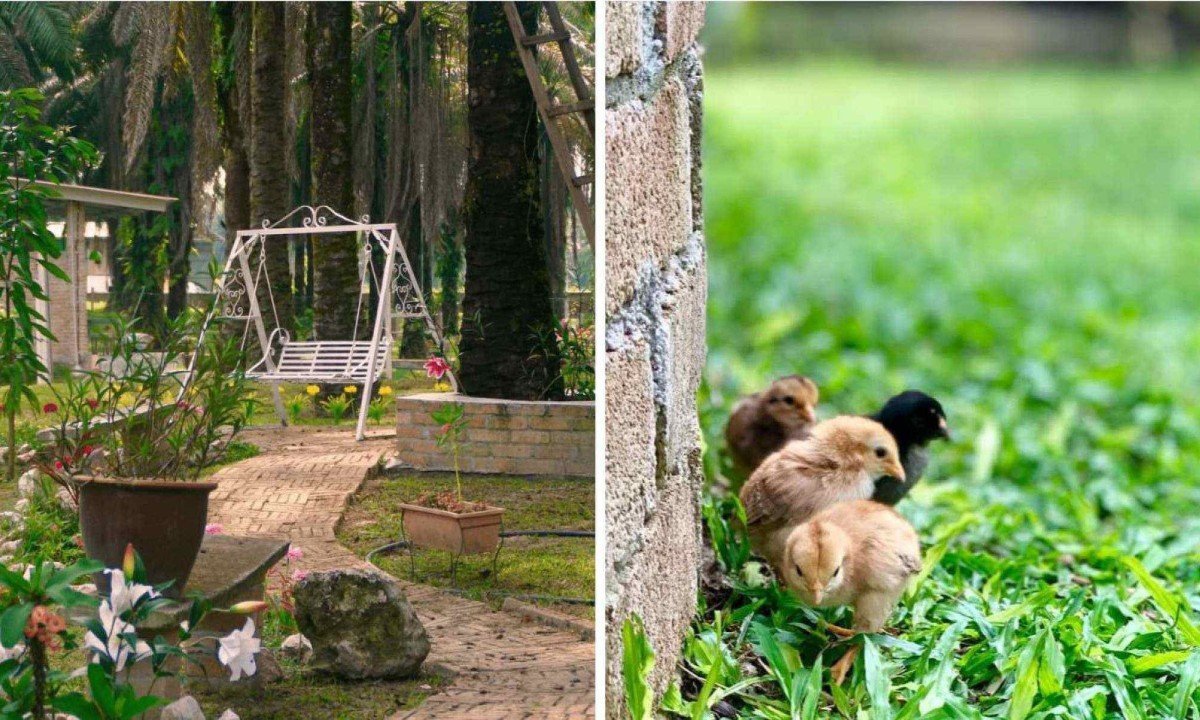 Proposta &eacute; que jovens adultos possam descansar e ter contato com a natureza