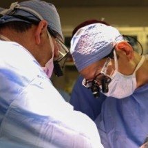 Como sistema imunológico humano reage a transplante de rim de porco  - Imagem: Massachusetts General Hospital