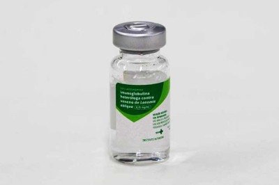O soro antilonômico é produzido exclusivamente pelo Instituto Butantan e enviado ao Ministério da Saúde, que distribui o medicamento por meio do Sistema Único de Saúde (SUS).  -  (crédito: Instituto Butantan)