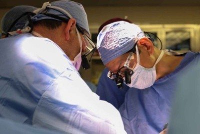 O primeiro paciente a receber um rim de porco foi um homem de 62 anos com doença renal terminal, que passou por cirurgia em 2024 no Hospital Geral de Massachusetts -  (crédito: Imagem: Massachusetts General Hospital)