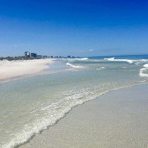 Farsa durou 4 décadas: americano criou pegadas e inventou o temido “Pinguim Gigante” -  Stepheneric9  wikimedia commons 