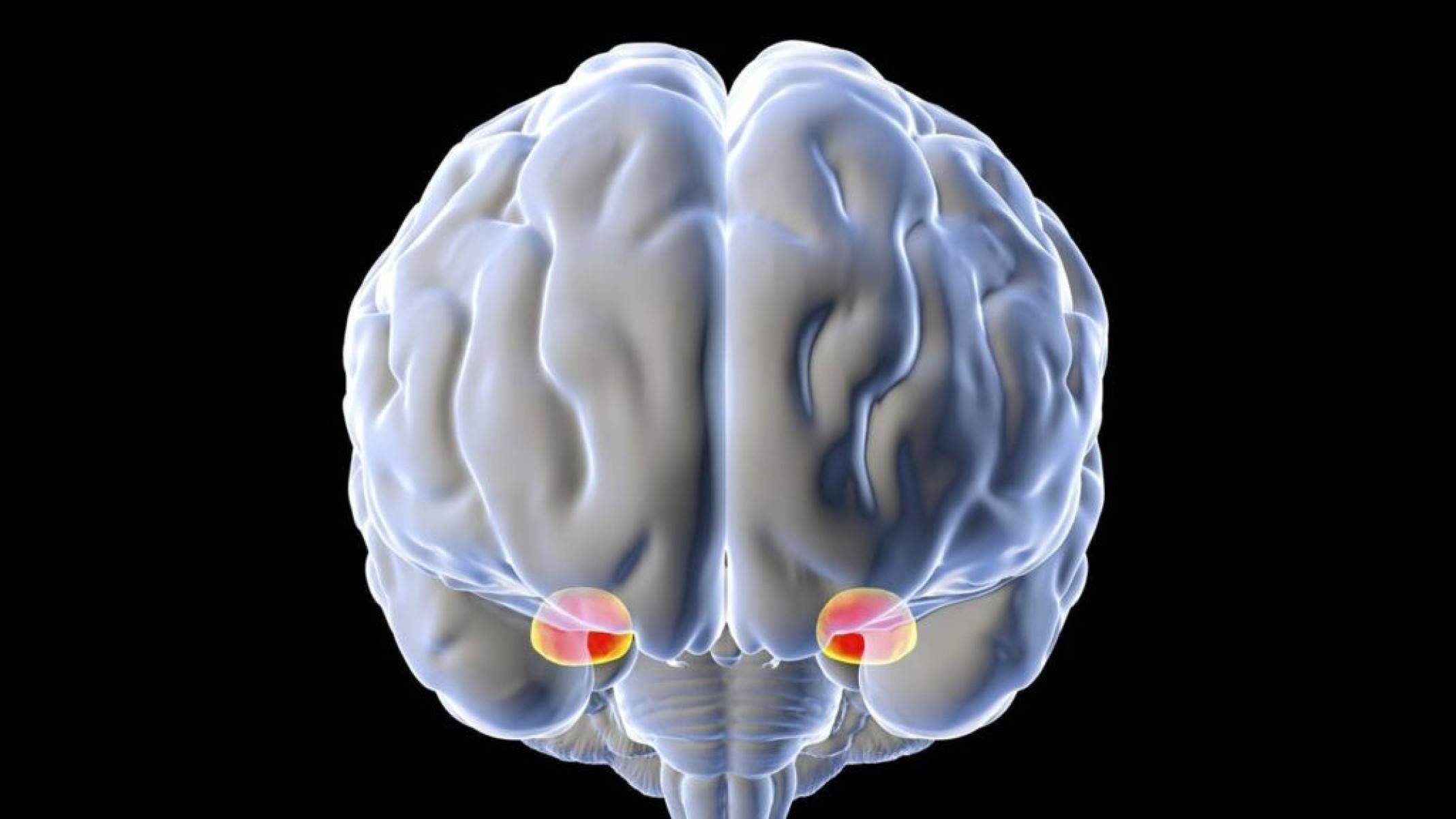 Novo estudo promete alívio da dor sem efeitos colaterais - Portal Giro 10