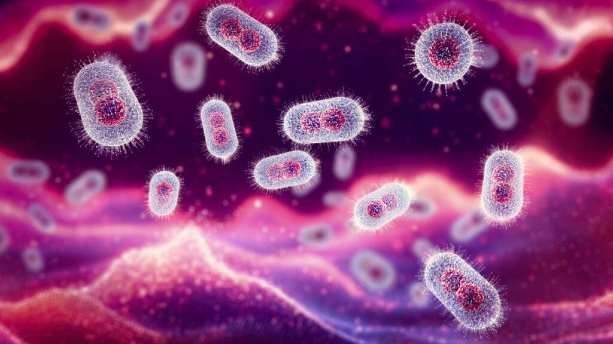 Mpox: entenda a doença viral que preocupa autoridades de saúde - Portal Giro 10