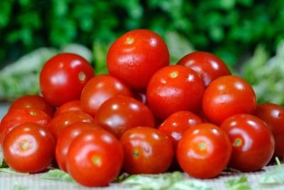 Nativo da Cordilheira dos Andes, em regiões de elevada altitude, que vão desde o norte do Chile até o Equador, o tomate era cultivado pelos povos indígenas, como os Incas, Maias e Astecas.  -  (crédito: Pixabay)