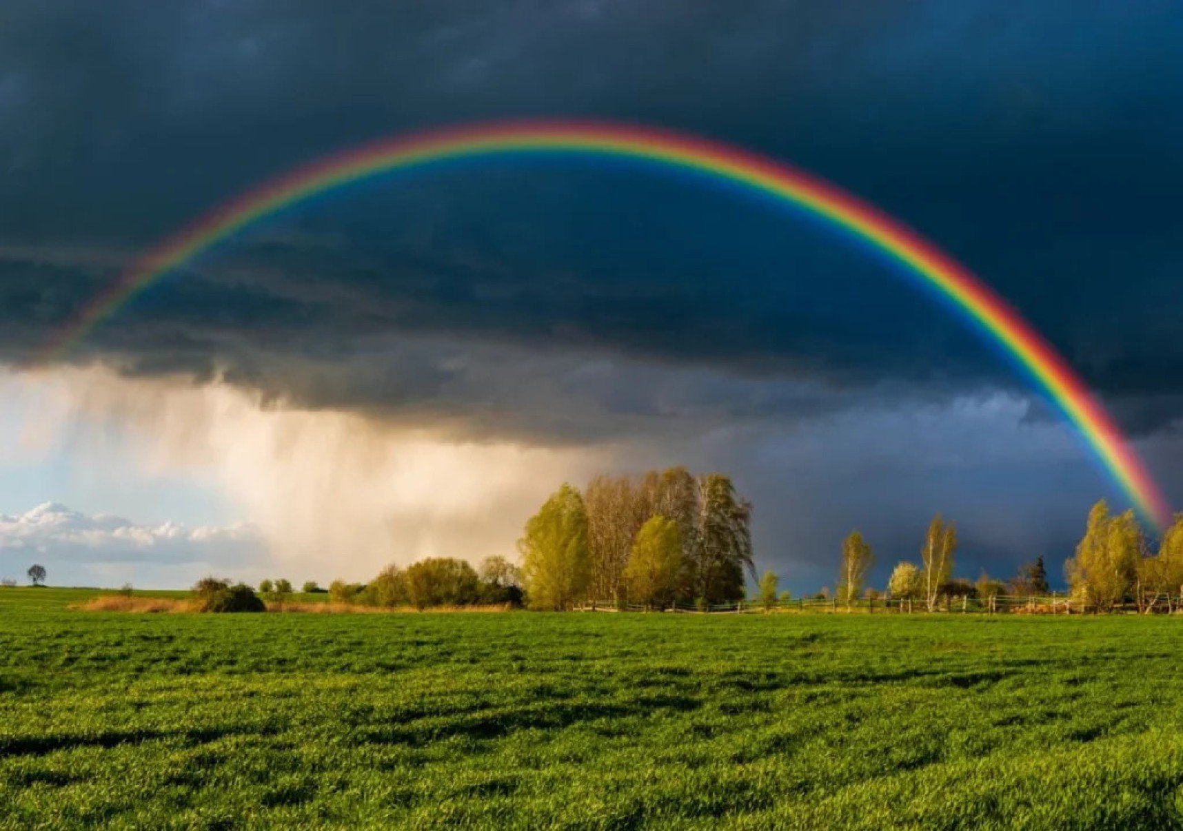 Por que os arco-íris são circulares? - Portal Giro 10