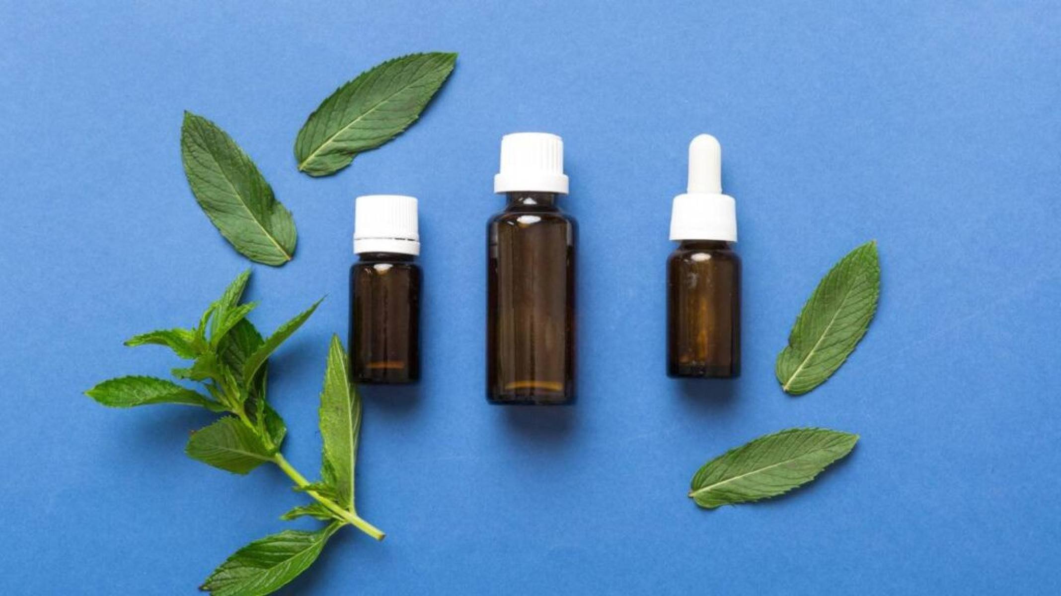 Levomentol: o que é e para que serve o mentol natural da hortelã - Portal Giro 10