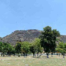 Patrimônio natural: Rio tem a maior floresta urbana do planeta -  Tania Rego/Agência Brasil