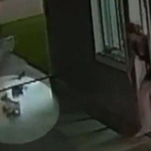 Cachorro é levado por vento durante passagem de tornado no Paraná - Redes Sociais 