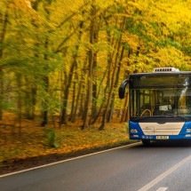 Empresa de ônibus é multada pelo Procon-MPMG por irregularidades - FreePik