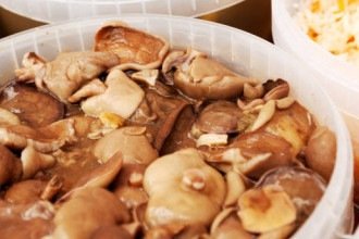 Cogumelos: opção nutritiva e versátil para diversificar refeições