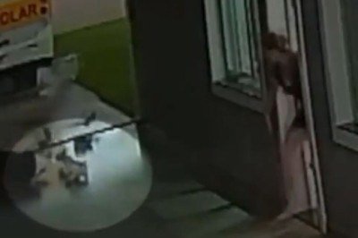 Lulu da Pomerânia foi arrastado pelo vento em cidade do Paraná -  (crédito: Redes Sociais )