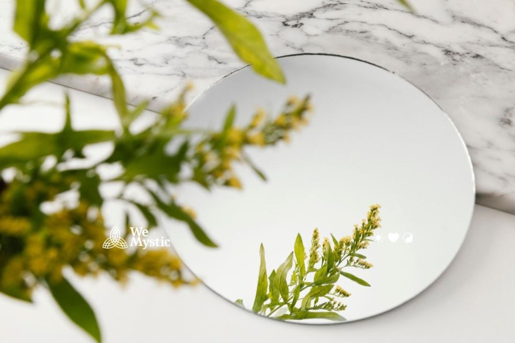 Espelhos no Feng Shui: 10 Dicas de Como Usar e Não Usar - Wemystic