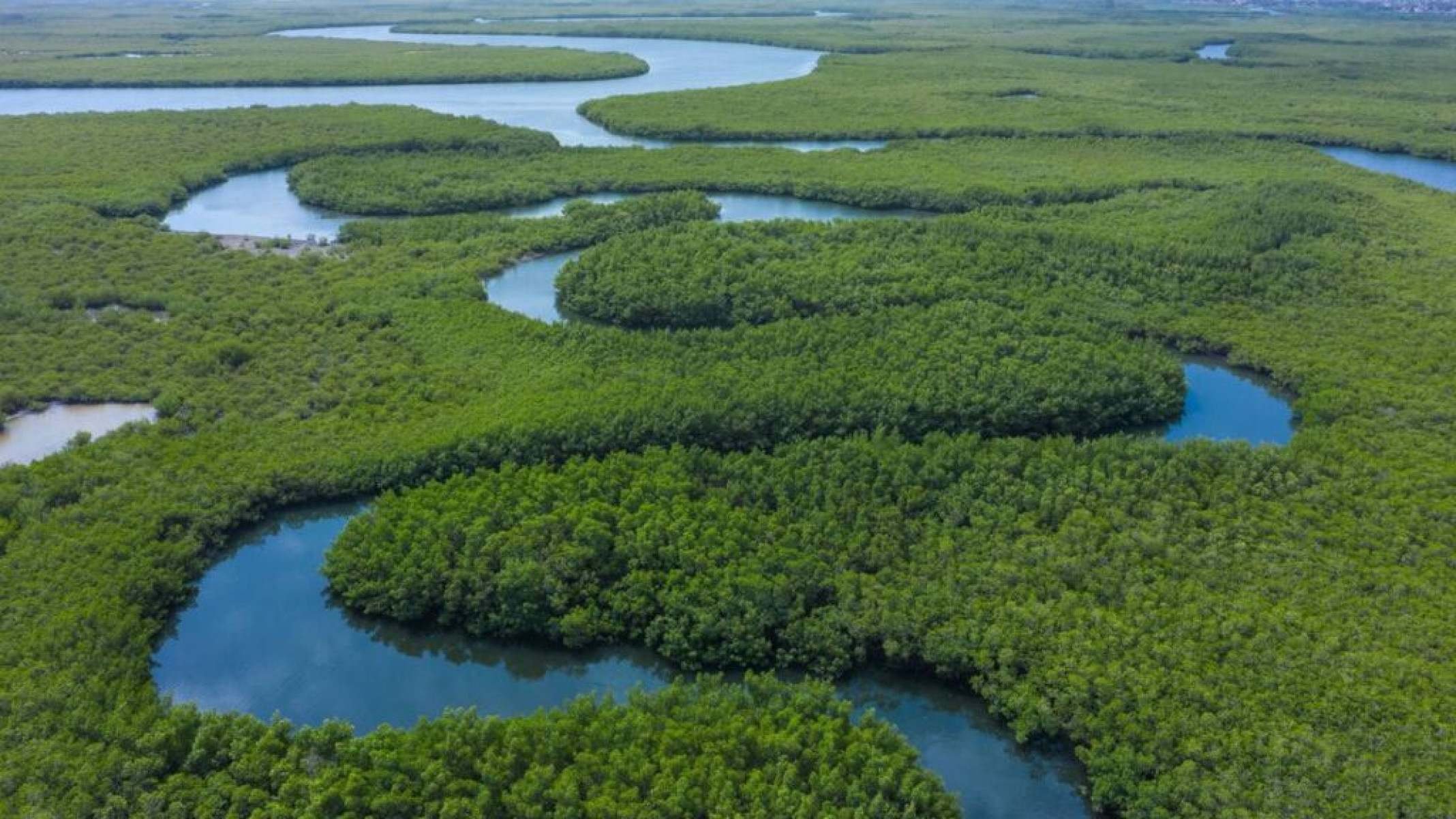 Enclave do Rio Gâmbia: quando a história criou um país à parte - Portal Giro 10