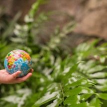 Crise climática e econômica: guia ensina combater informações falsas na esc - Freepik