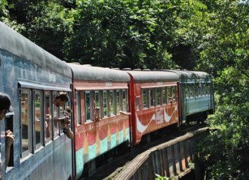 O trajeto de Curitiba &agrave; cidade hist&oacute;rica de Morretes atravessa a maior &aacute;rea preservada de Mata Atl&acirc;ntica do Brasil -  (crédito: Jorge Alberto Martinez Lopes/ Flickr)