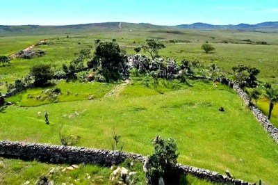 Na região da Serra da Canastra, em Minas Gerais, um trabalho constante de conservação tenta preservar uma das aves mais raras e ameaçadas do mundo.  -  (crédito: Reprodução de vídeo Divulgação)