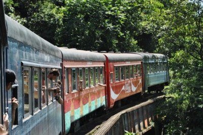 O trajeto de Curitiba &agrave; cidade hist&oacute;rica de Morretes atravessa a maior &aacute;rea preservada de Mata Atl&acirc;ntica do Brasil -  (crédito: Jorge Alberto Martinez Lopes/ Flickr)