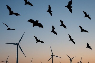 O aumento das turbinas eólicas tem causado preocupação entre ambientalistas, que relatam milhões de morcegos mortos por colisões anuais. A perda desses animais afeta diretamente o controle de pragas e a polinização de espécies agrícolas. -  (crédito: Imagem gerada por i.a )