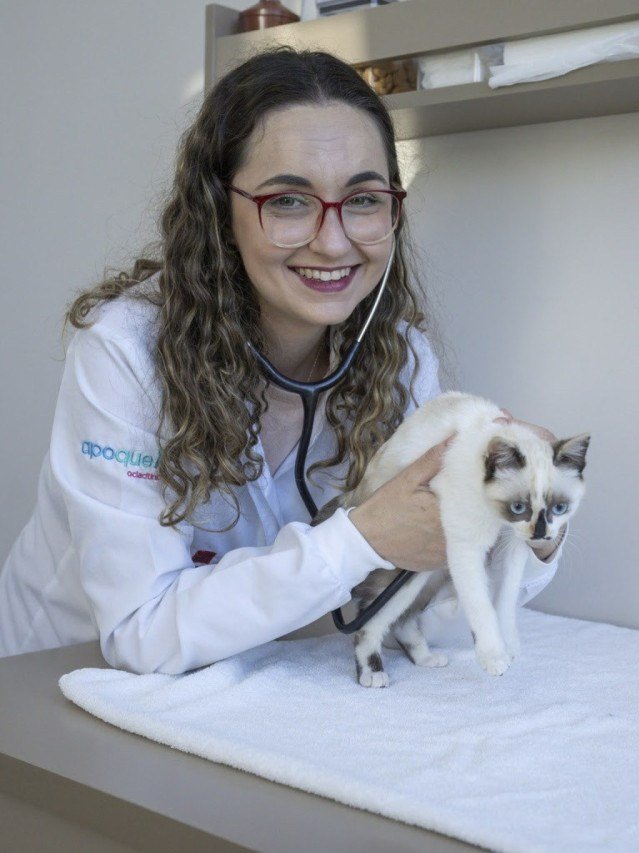 C&atilde;es viajando 